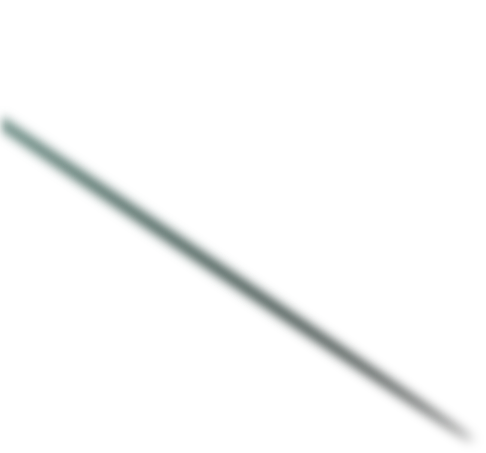 custom vector